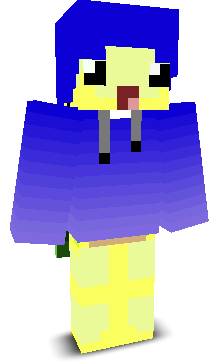 User's Minecraft appearance