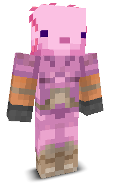 User's Minecraft appearance