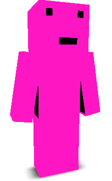 User's Minecraft appearance