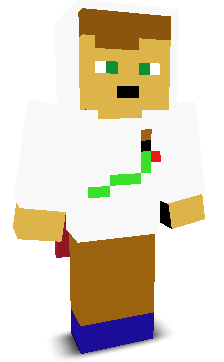 User's Minecraft appearance