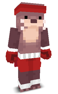 User's Minecraft appearance