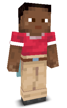 User's Minecraft appearance