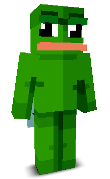 User's Minecraft appearance