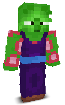 User's Minecraft appearance