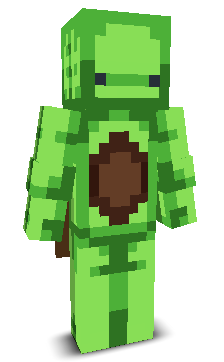 User's Minecraft appearance