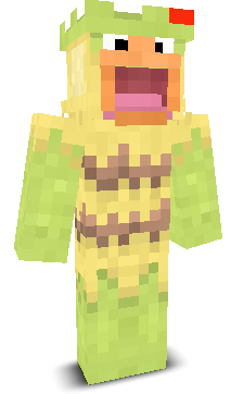 User's Minecraft appearance