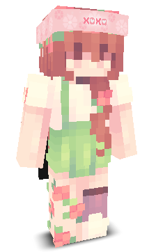 User's Minecraft appearance