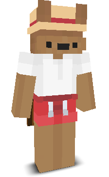 User's Minecraft appearance