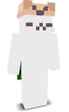 User's Minecraft appearance