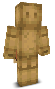 User's Minecraft appearance