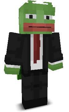 User's Minecraft appearance