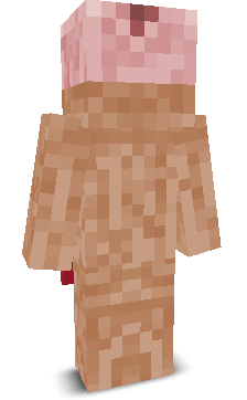 User's Minecraft appearance
