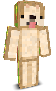 User's Minecraft appearance