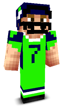User's Minecraft appearance
