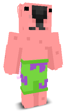 User's Minecraft appearance