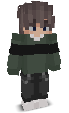 User's Minecraft appearance