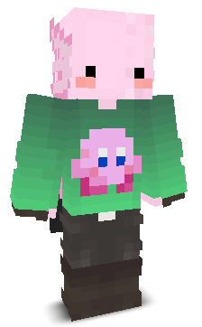 User's Minecraft appearance