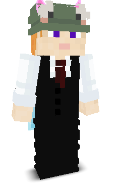 User's Minecraft appearance