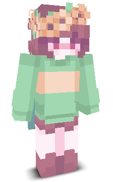 User's Minecraft appearance