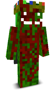 User's Minecraft appearance