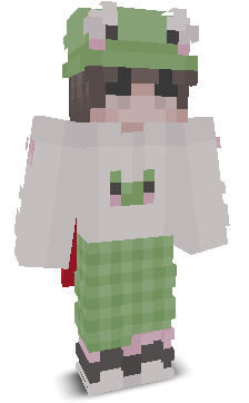 User's Minecraft appearance