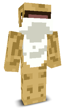 User's Minecraft appearance