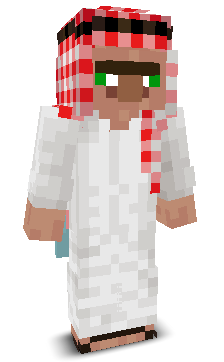User's Minecraft appearance