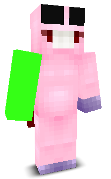 User's Minecraft appearance