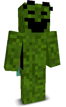 User's Minecraft appearance