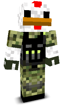 User's Minecraft appearance