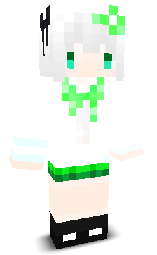 User's Minecraft appearance