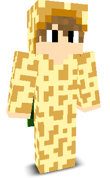 User's Minecraft appearance