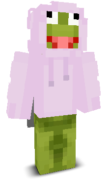 User's Minecraft appearance