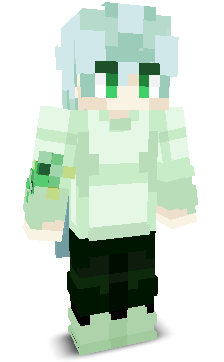 User's Minecraft appearance