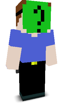 User's Minecraft appearance