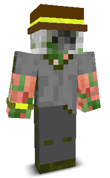 User's Minecraft appearance