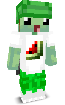 User's Minecraft appearance