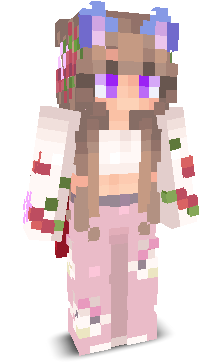 User's Minecraft appearance