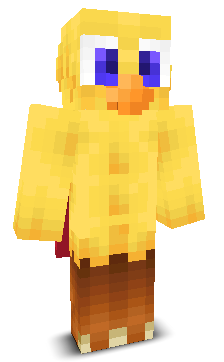 User's Minecraft appearance