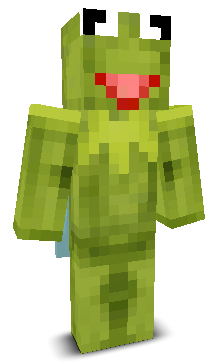 User's Minecraft appearance