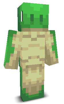 User's Minecraft appearance