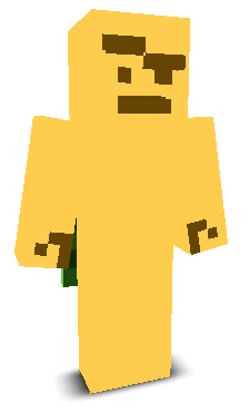 User's Minecraft appearance