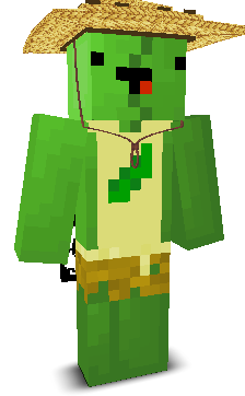 User's Minecraft appearance