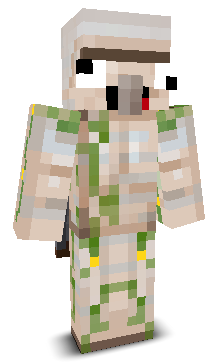 User's Minecraft appearance