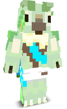 User's Minecraft appearance