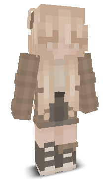 User's Minecraft appearance