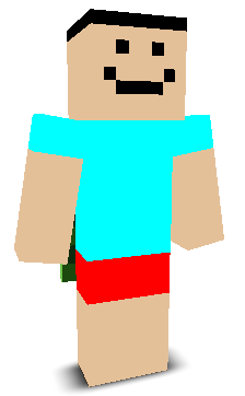 User's Minecraft appearance