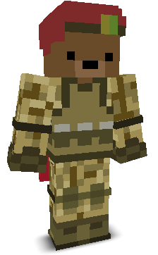 User's Minecraft appearance