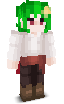 User's Minecraft appearance