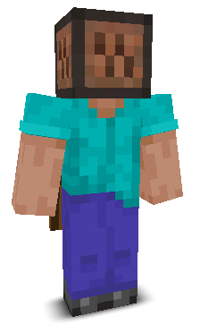 User's Minecraft appearance